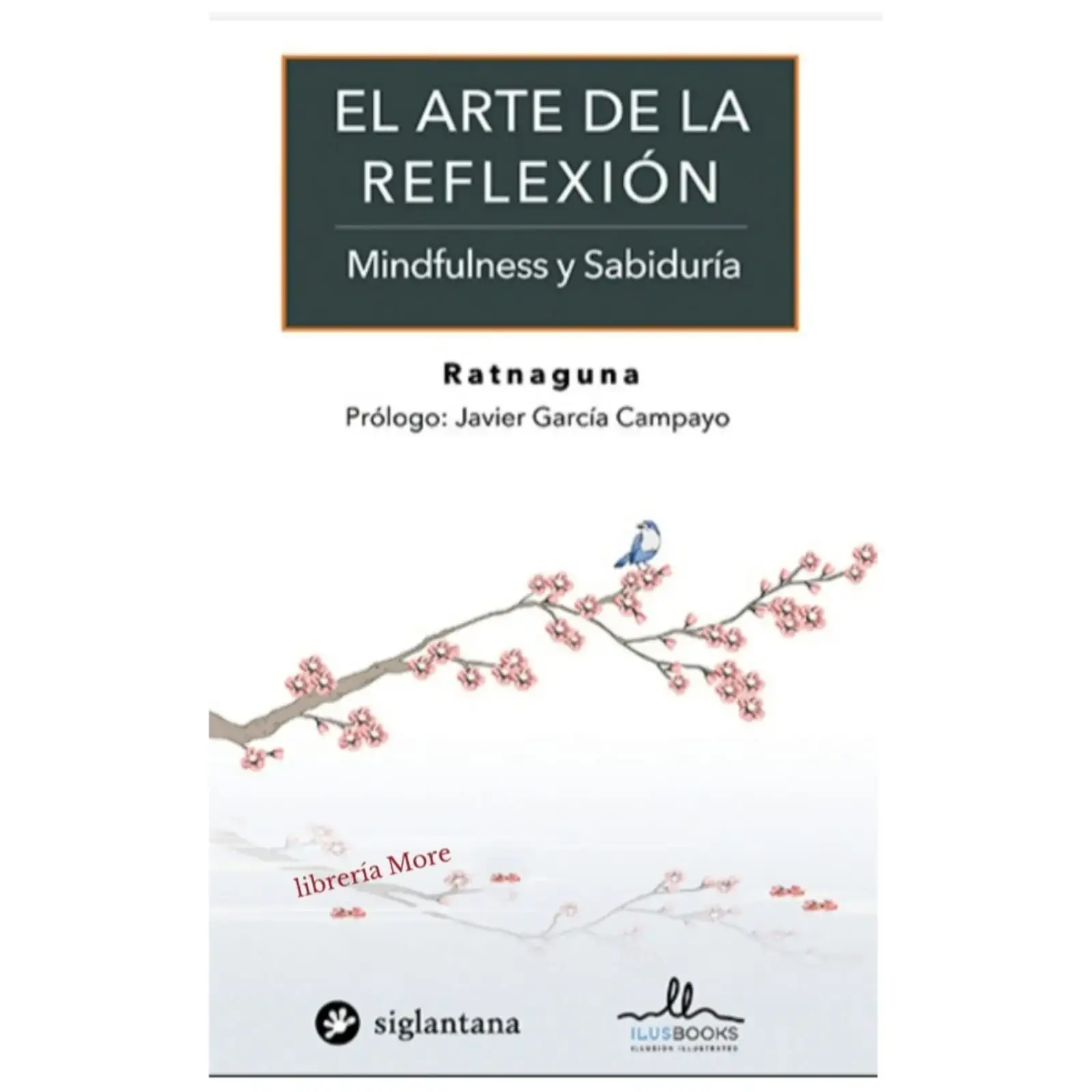 El arte de la reflexión 