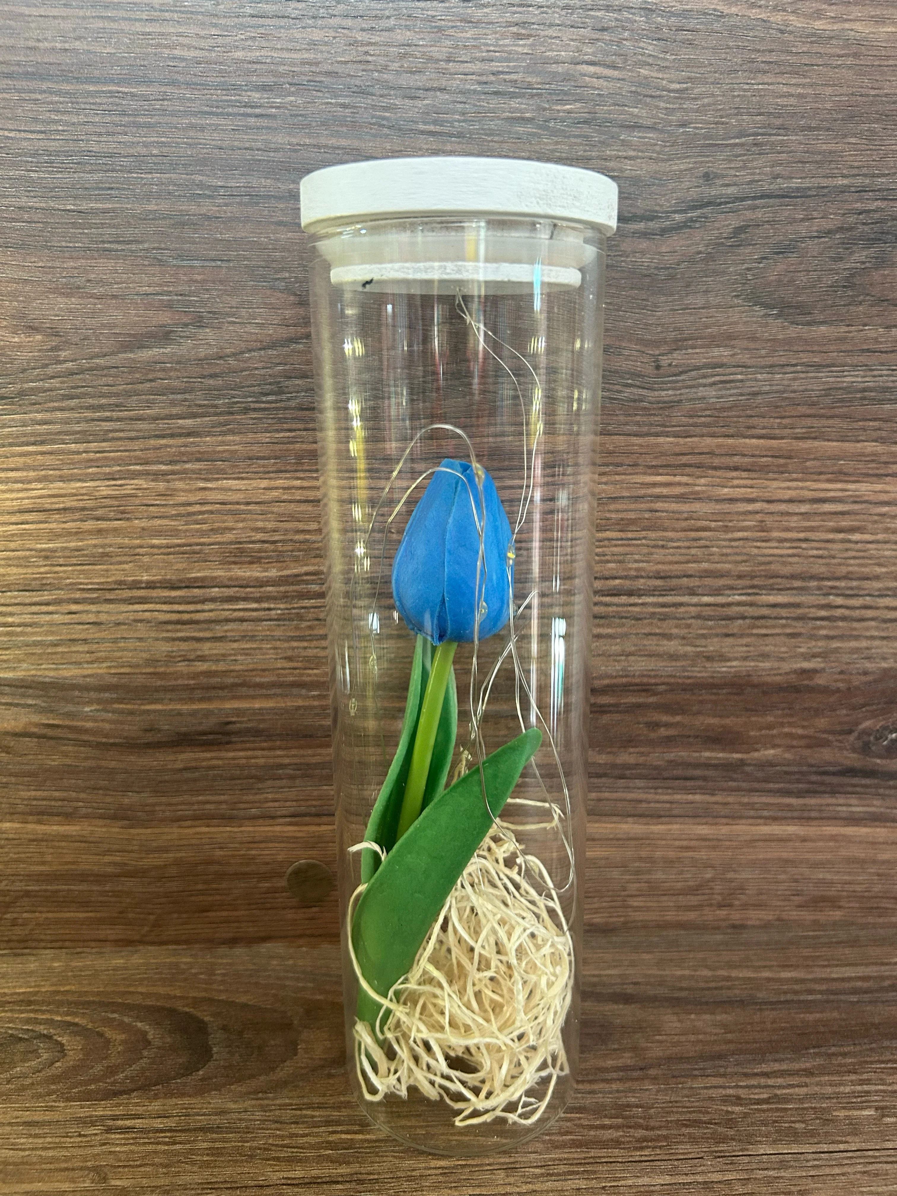 Tulipán encapsulado 2