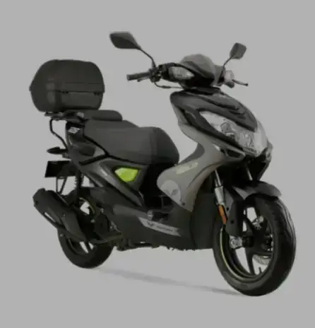 BOLD PRO 125 2023