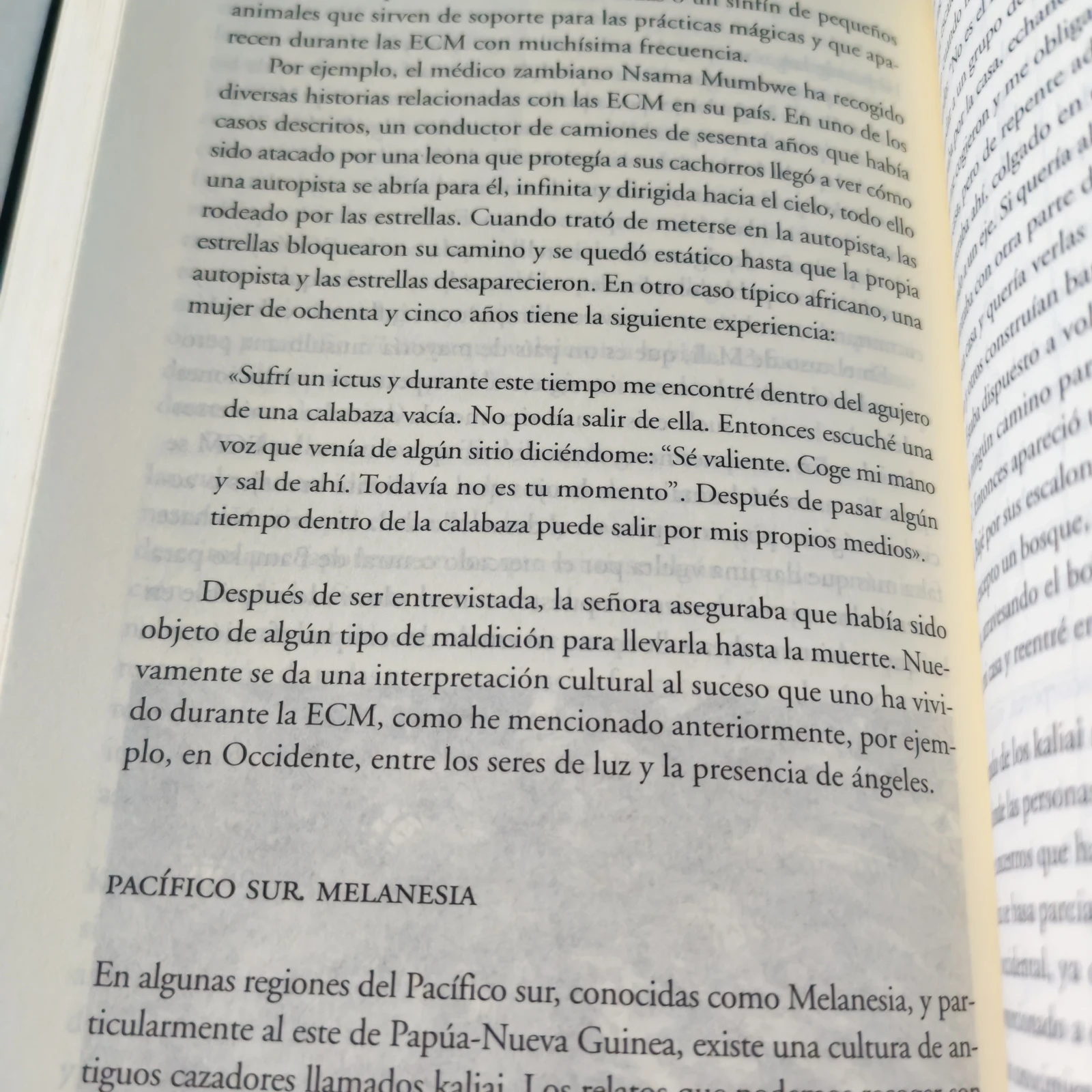 El límite , Jose Miguel Gaona, usado 3