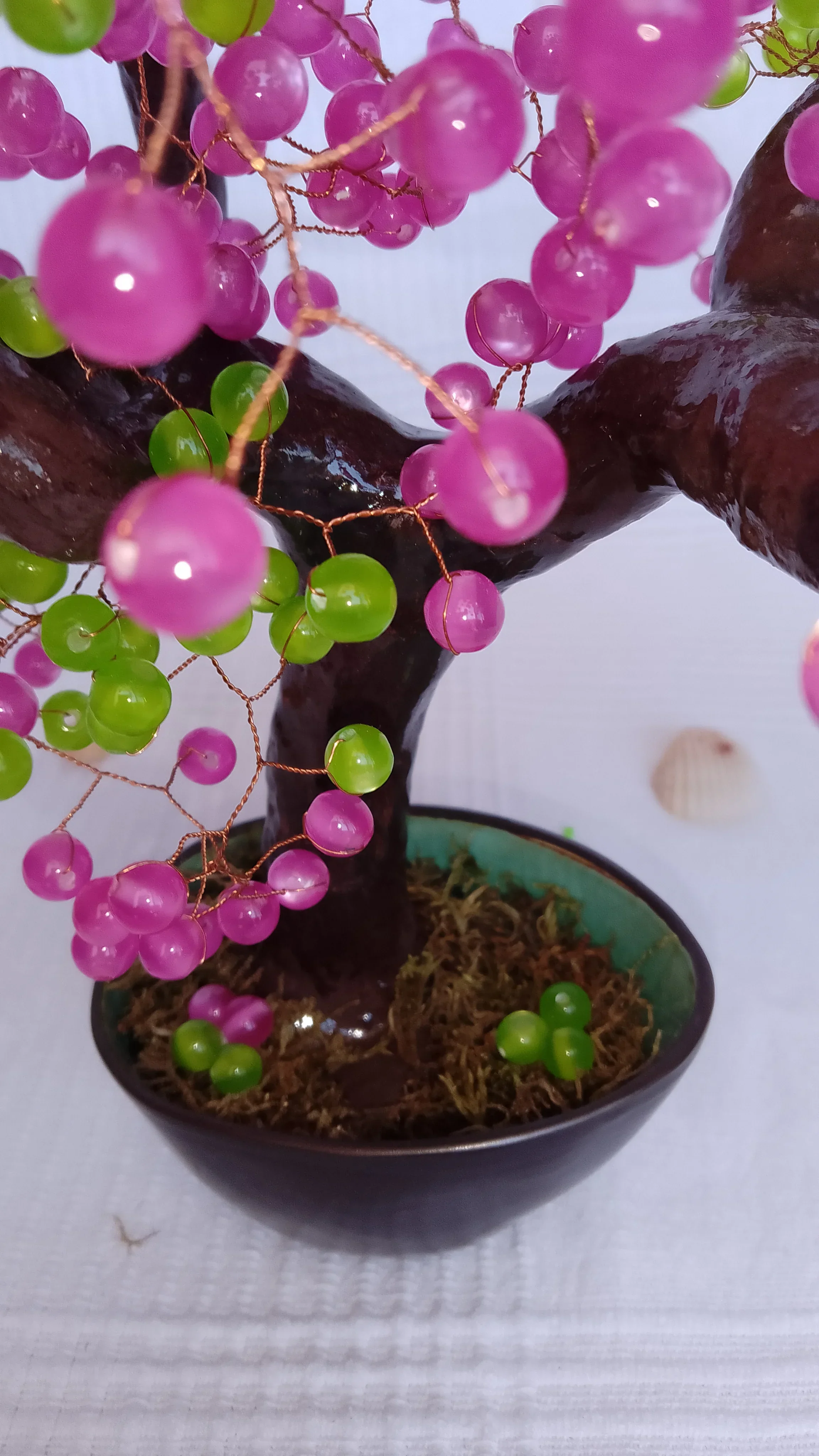 Bonsai Chocolate Fucsia 2