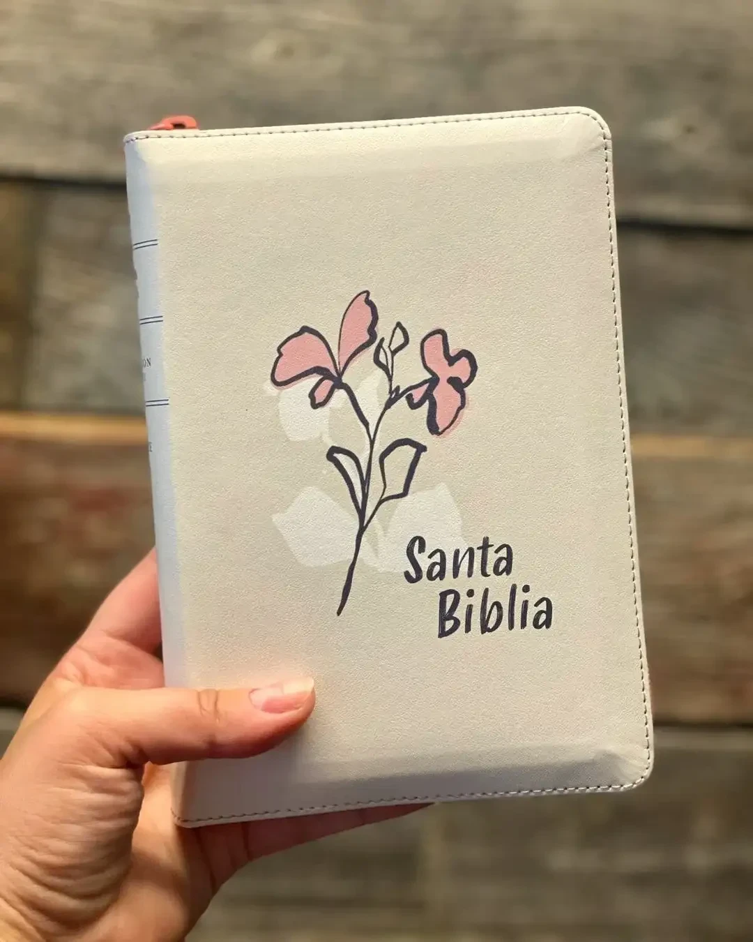 Biblia NTV compacta letra gigante beige 2