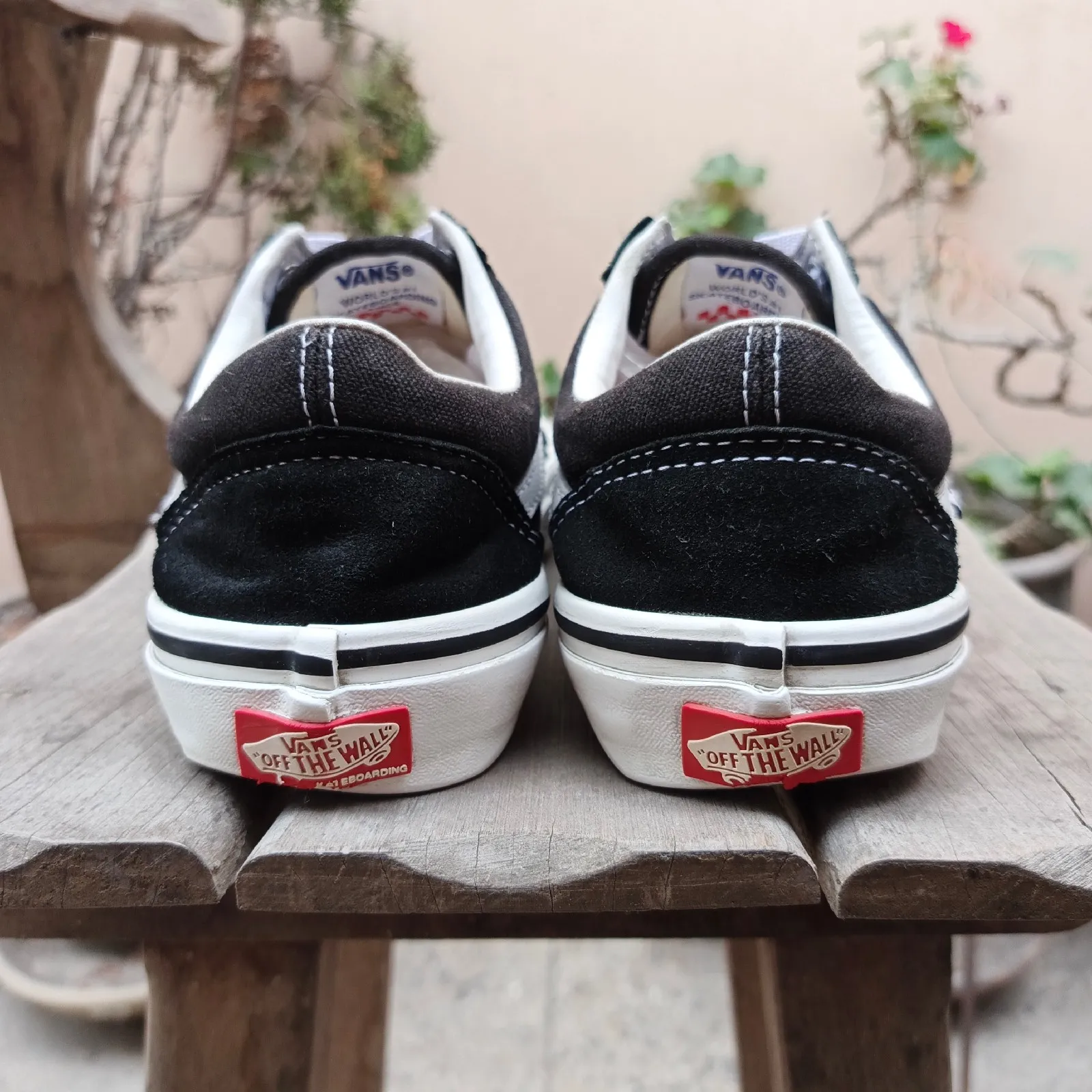 Vans 3