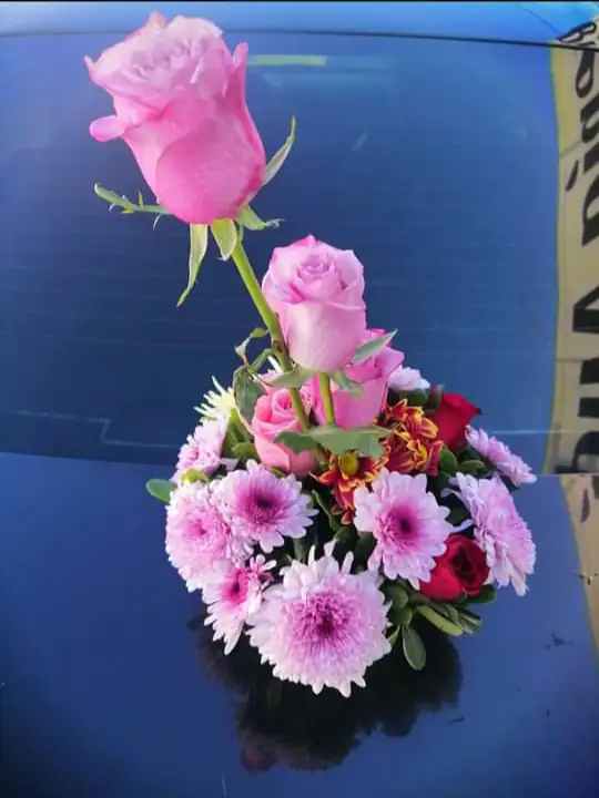 Trio rosita