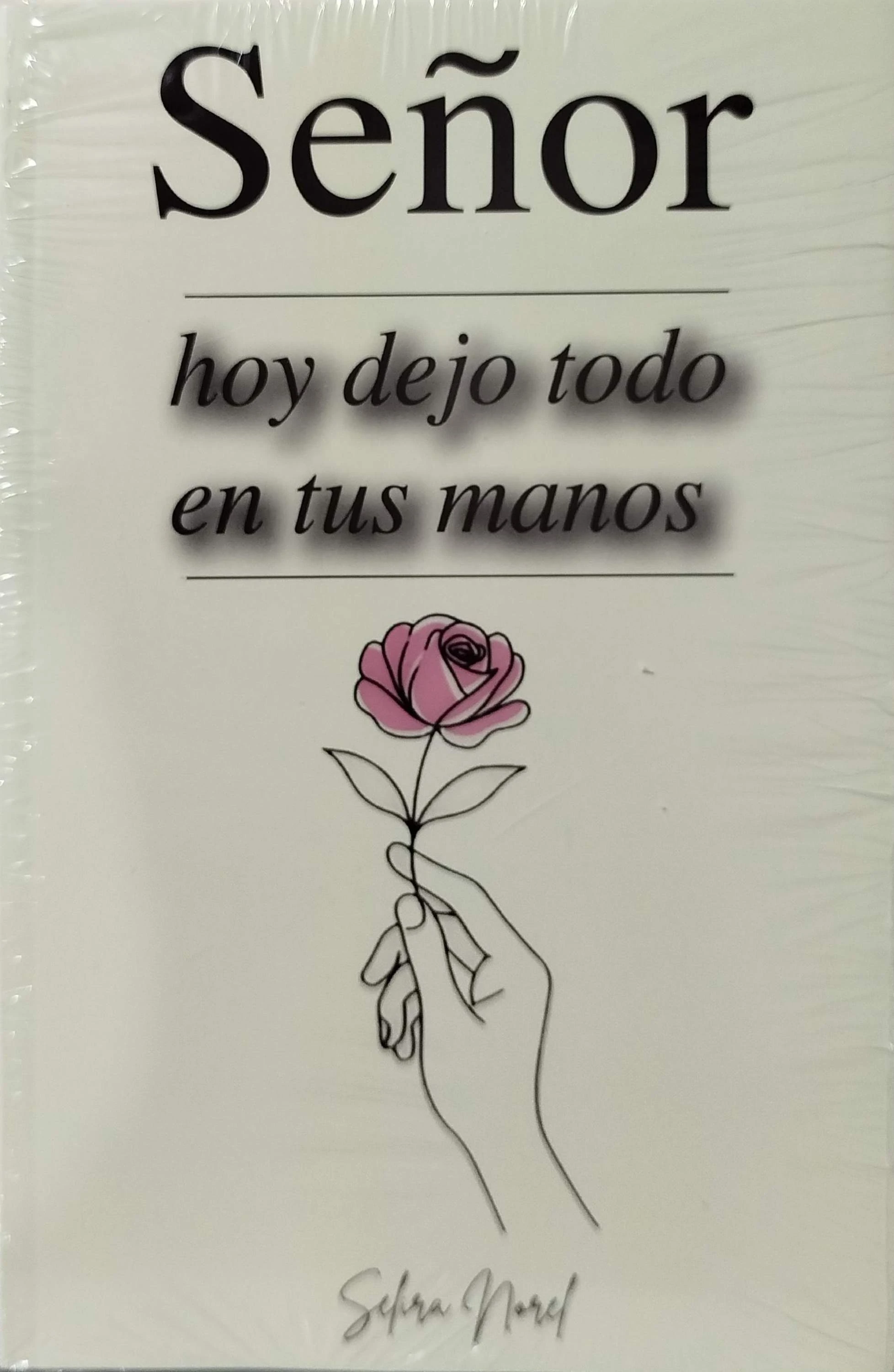 SEÑOR HOY DEJO TODO EN TUS MANOS 