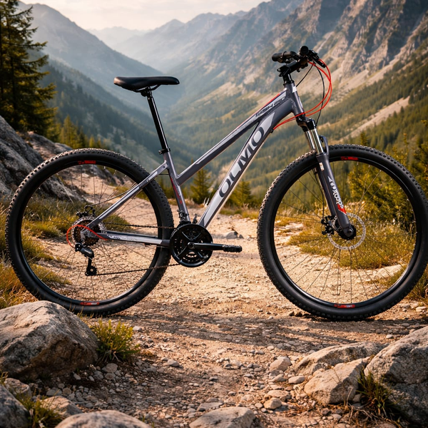 Bicicletas