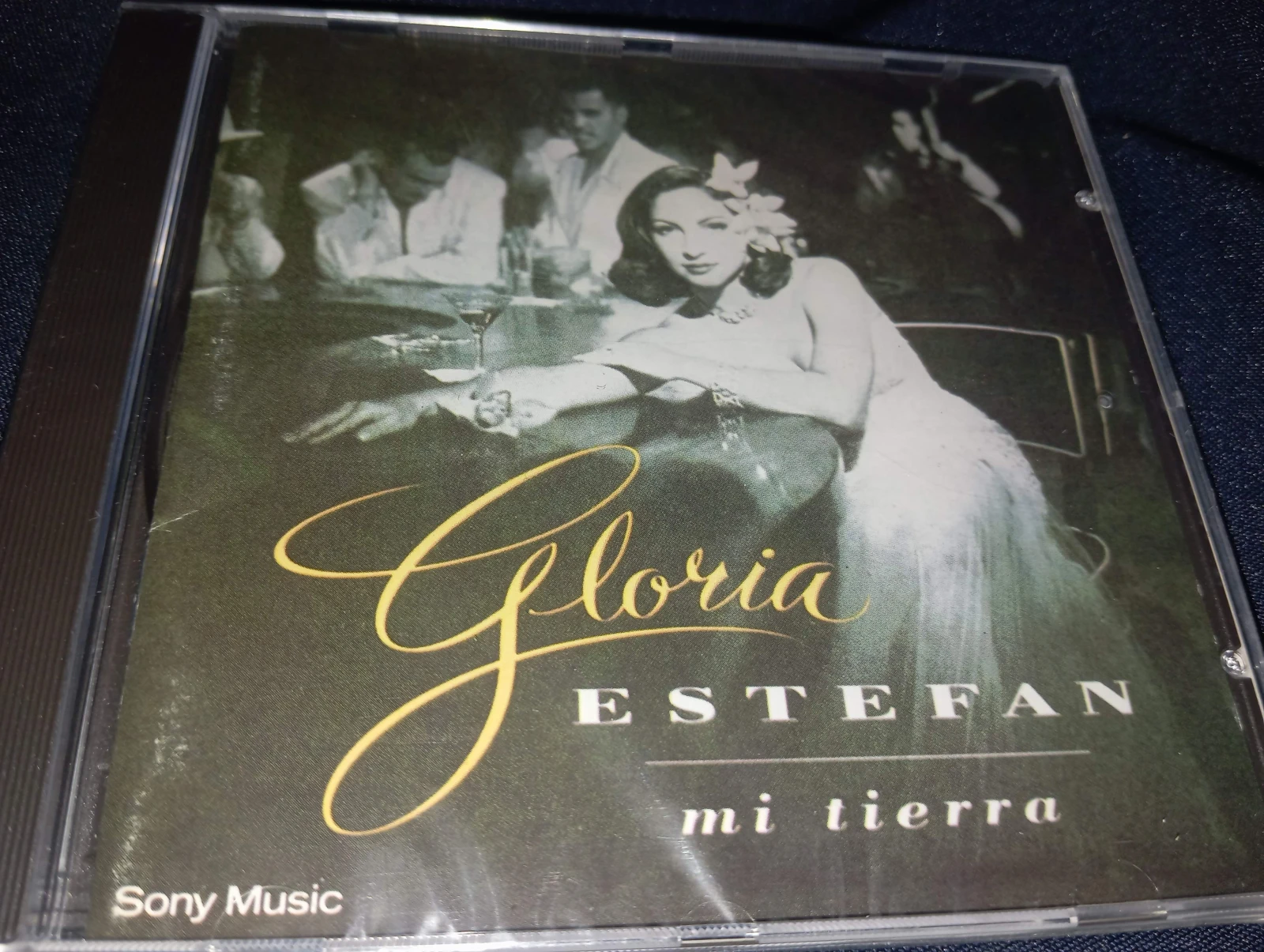 Gloria Estefan - Mi Tierra (ARGENTINA)