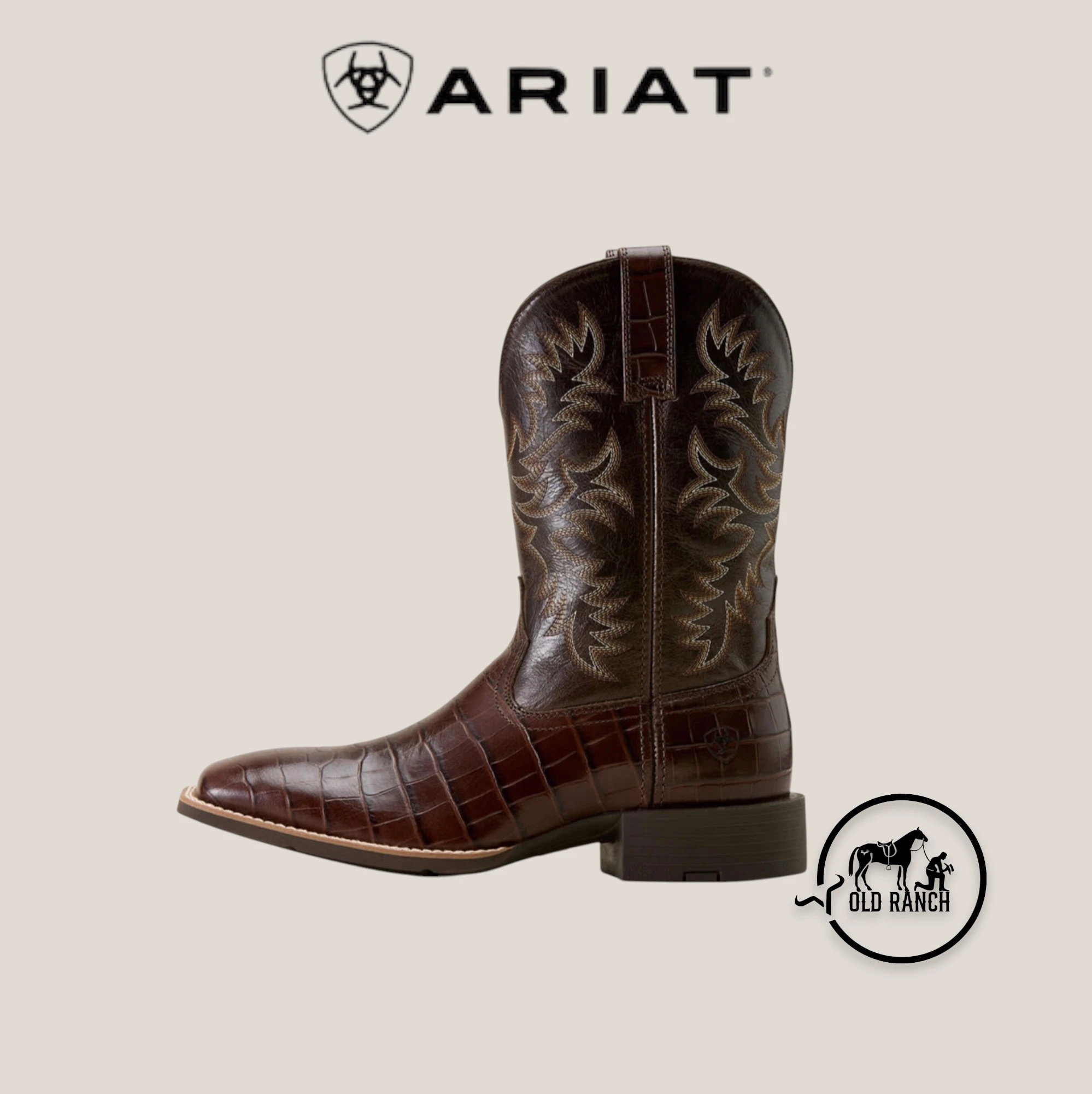 ARIAT 3