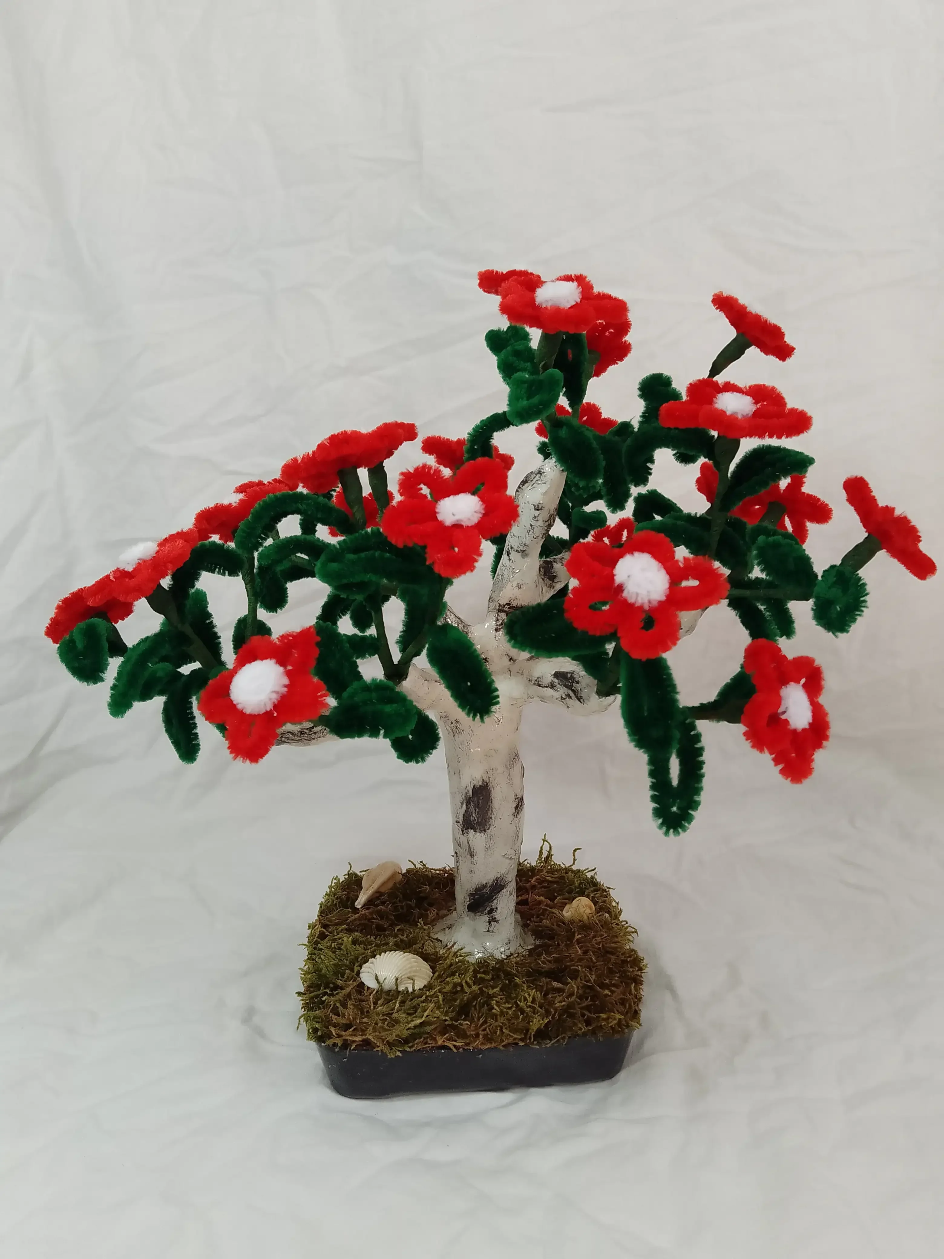 Àrbol Bonsai Margaritas Rojas 3