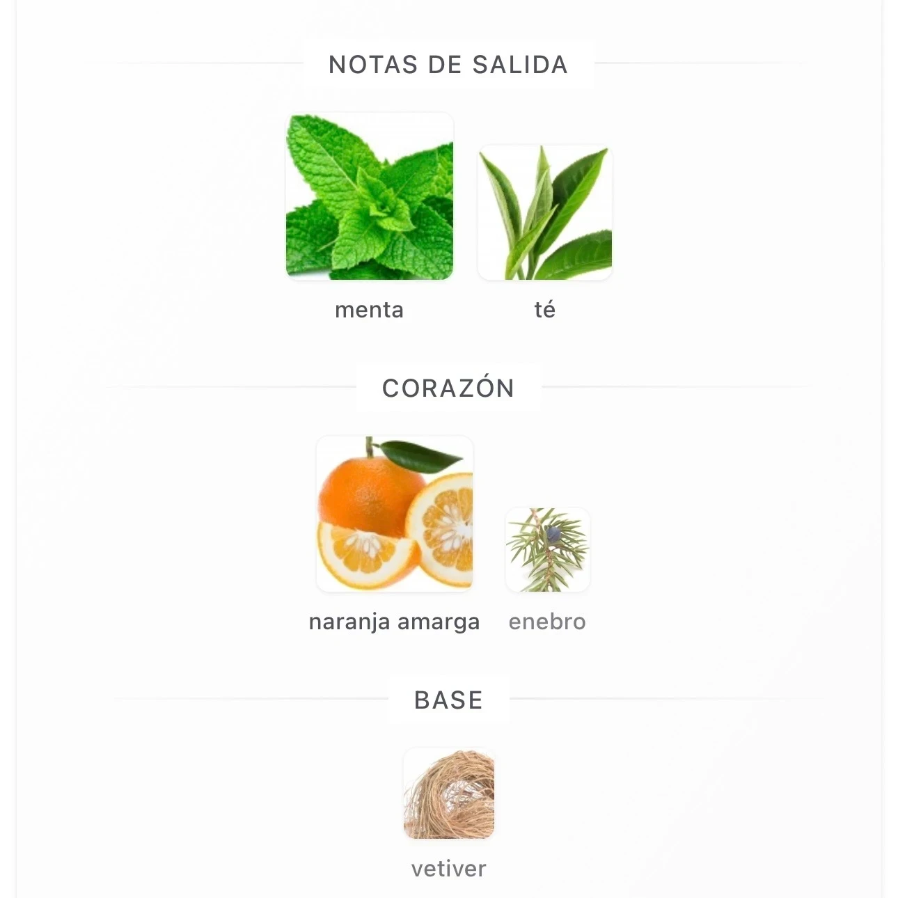 1.1 – Hugo Iced - Hugo Boss – Hombre  2