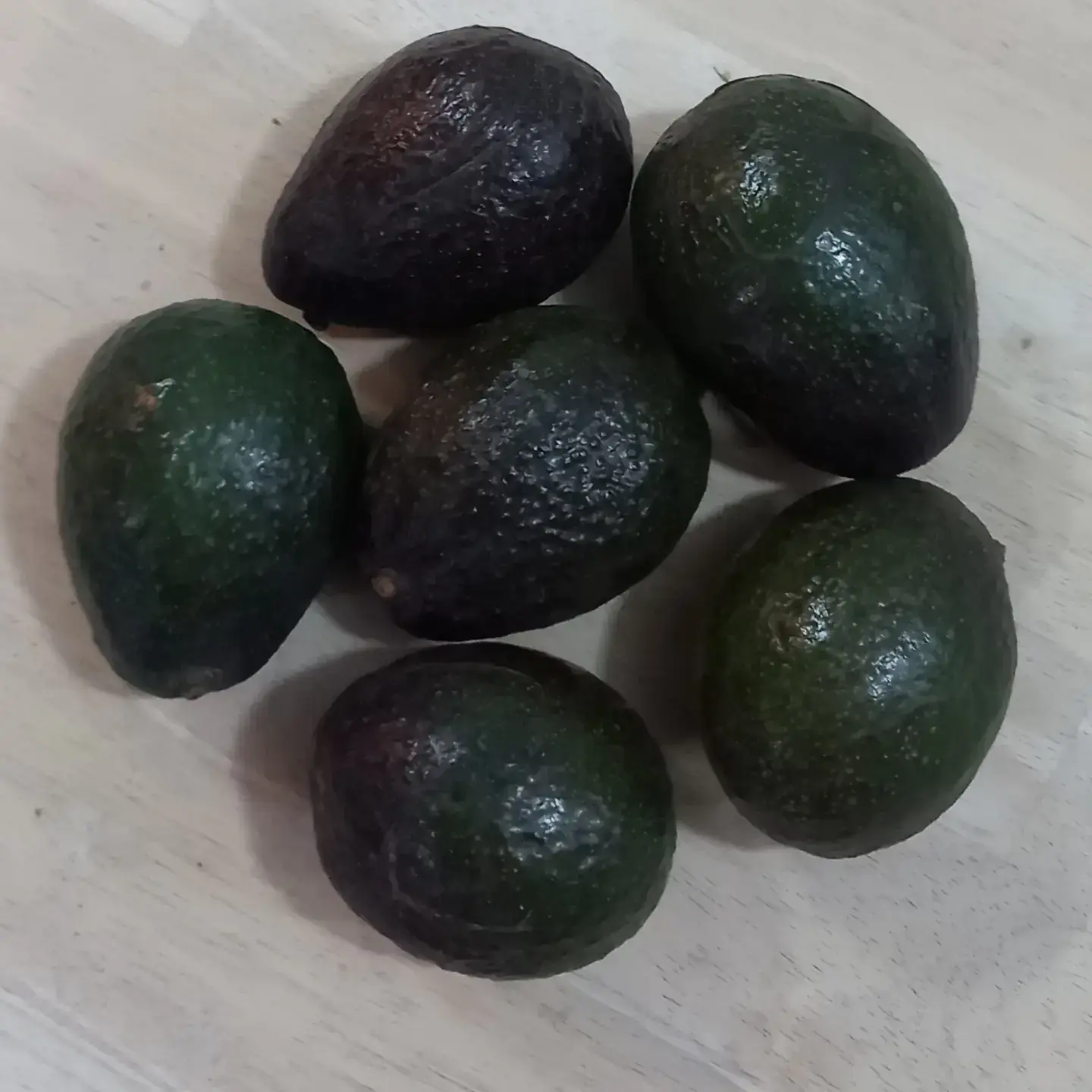 Aguacate 