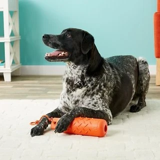 KONG Training Dummy Large 2