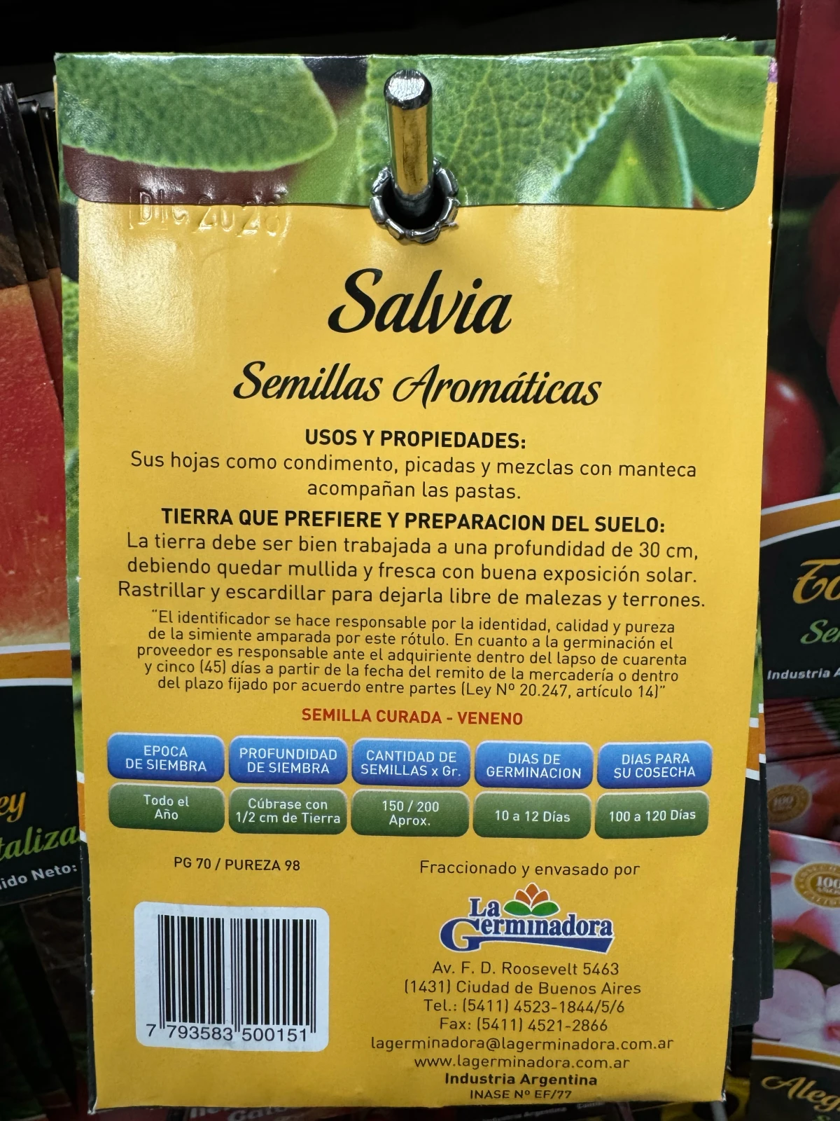 Salvia semillas Aromaticas  2