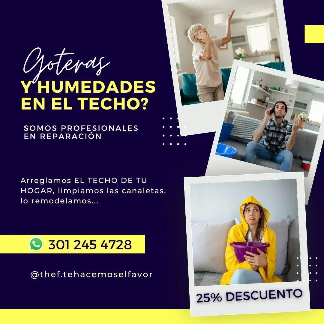 Servicio Técnico de Revisión de goteras