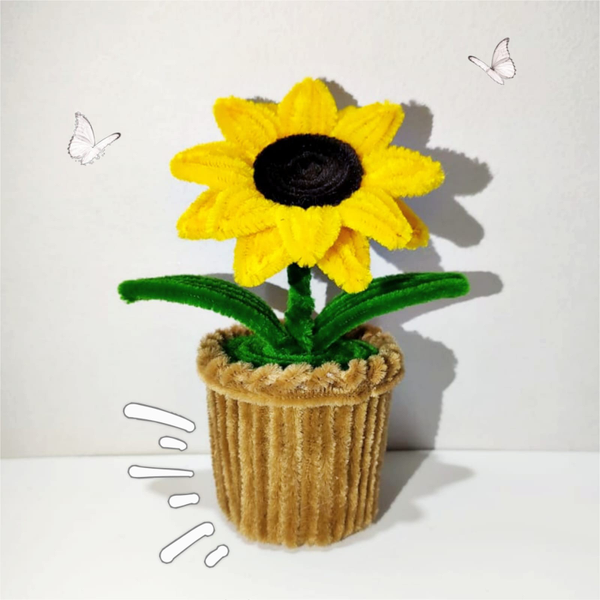 Flores