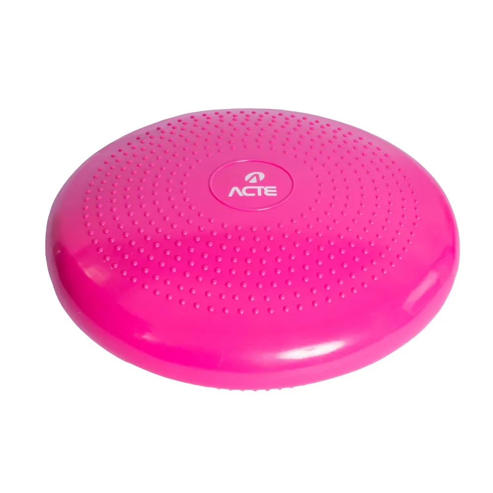 DISCO DE EQUILIBRIO ACTE T6