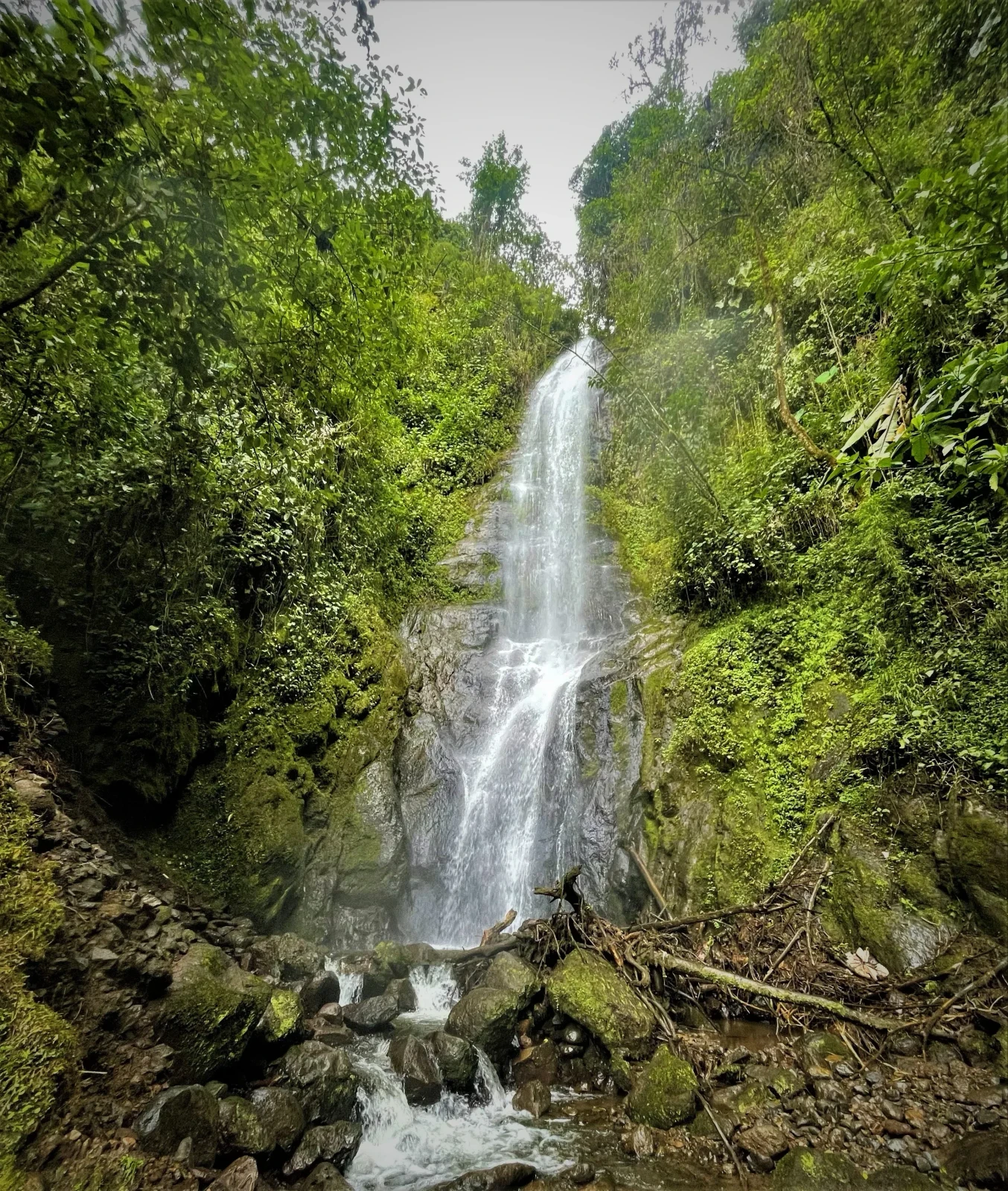 JARDIN ECOLÓGICO Y RURAL 9