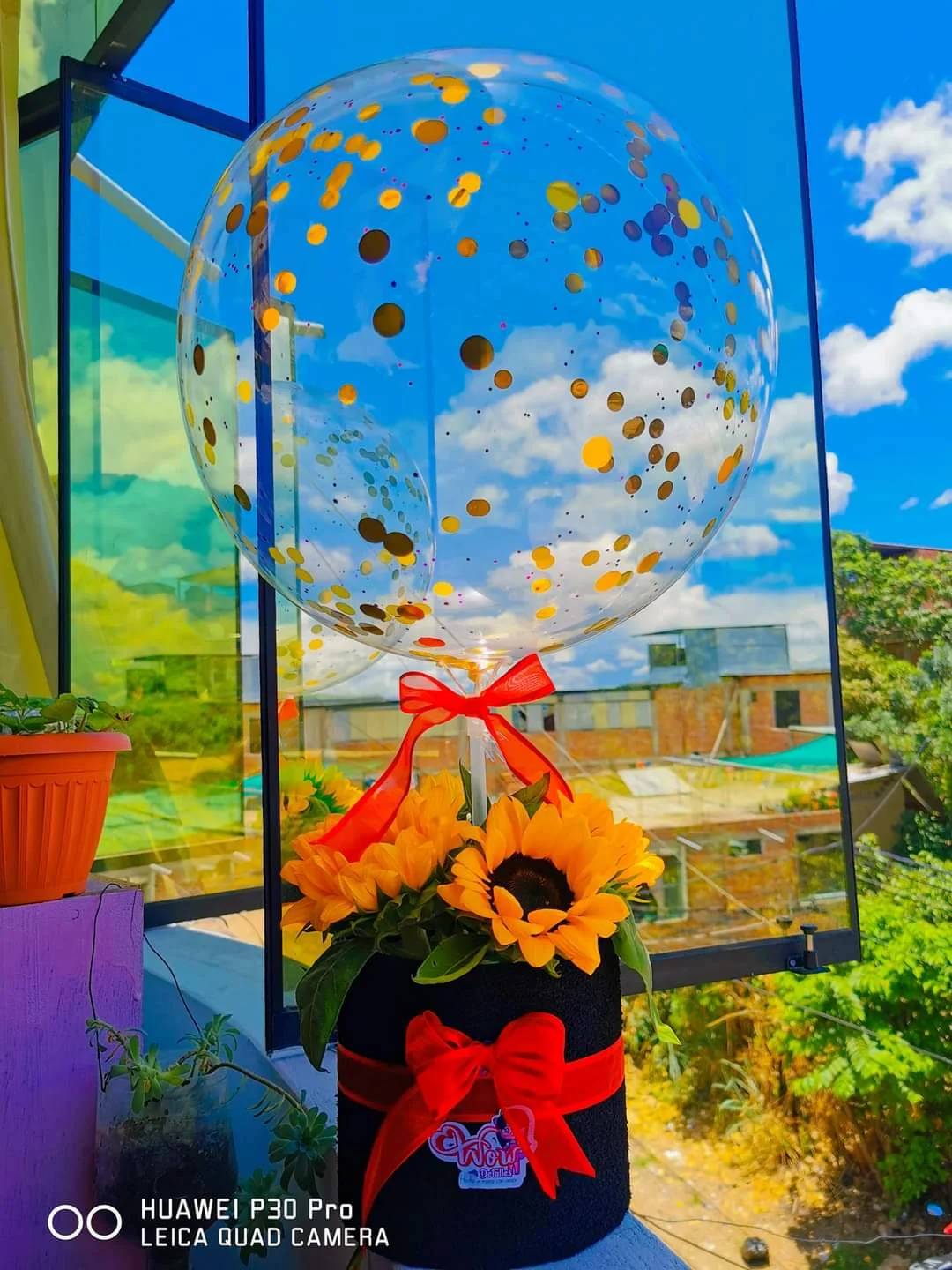Girasoles