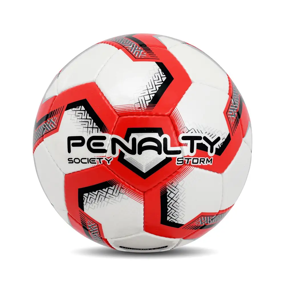 PENALTY SOCIETY STORM 