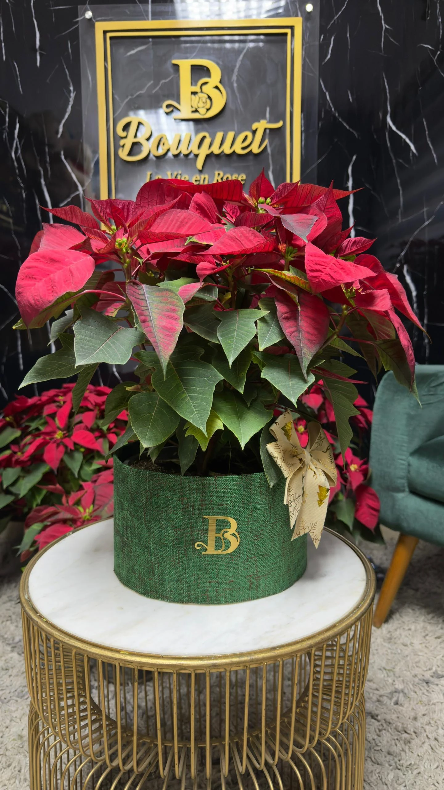 Planta de navidad mediana 