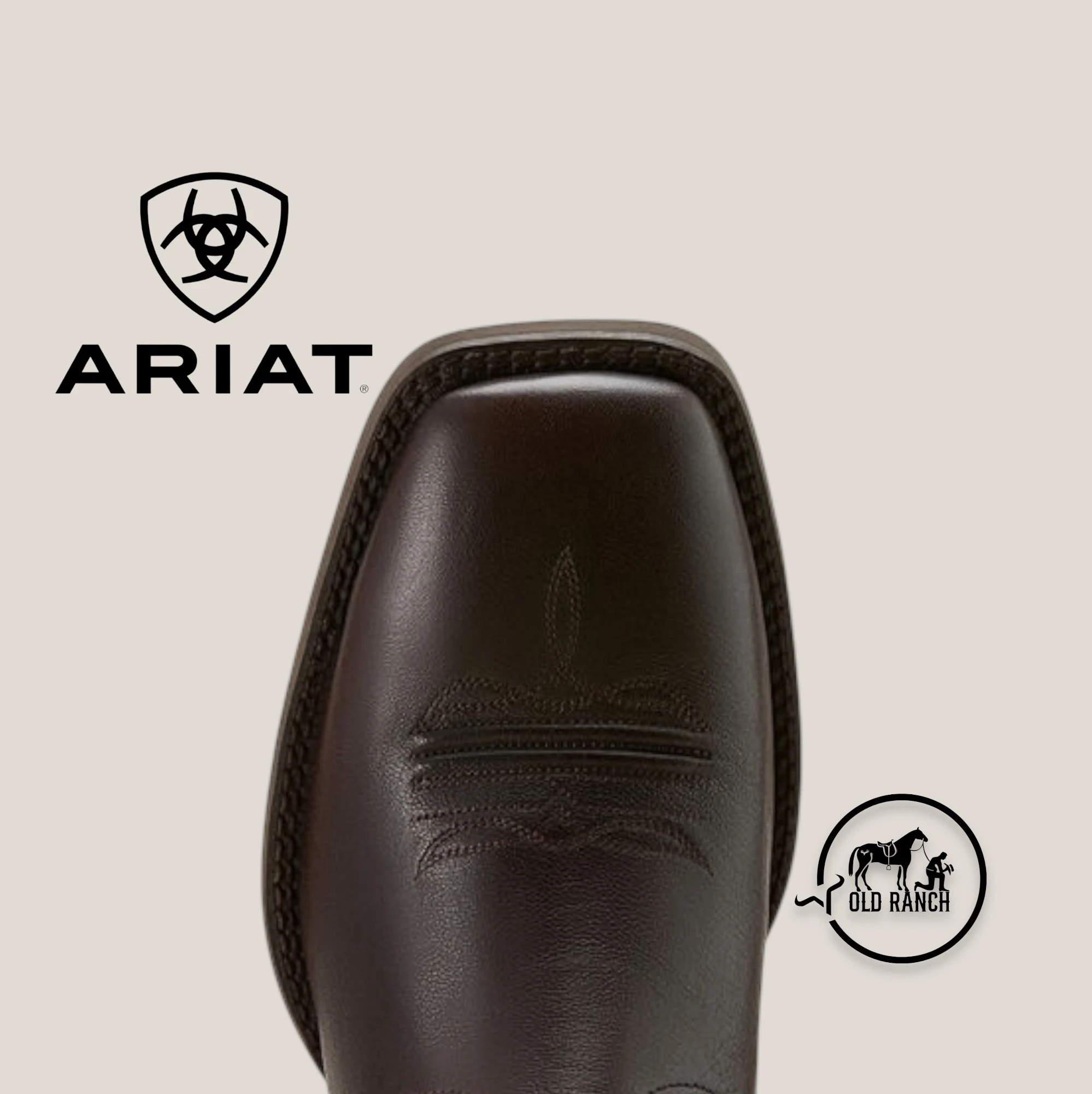 ARIAT 3