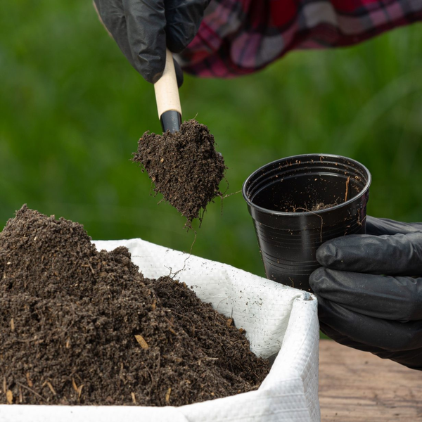 Biofertilizantes