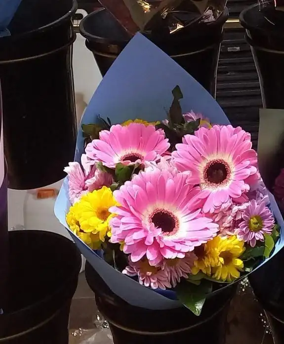 Ramo gerberas