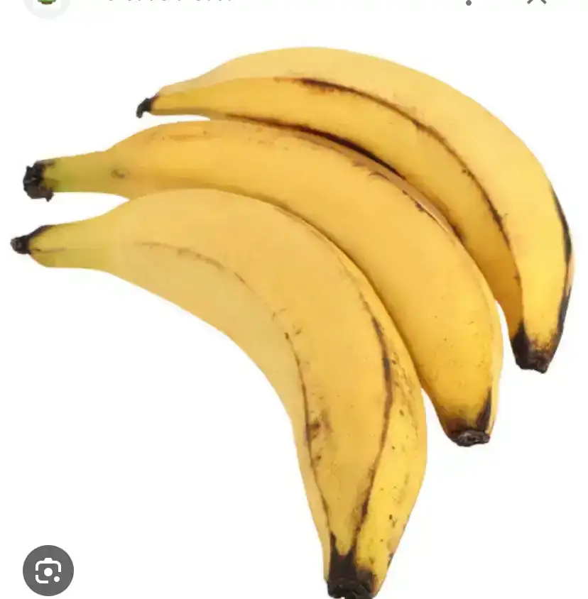 Platano macho