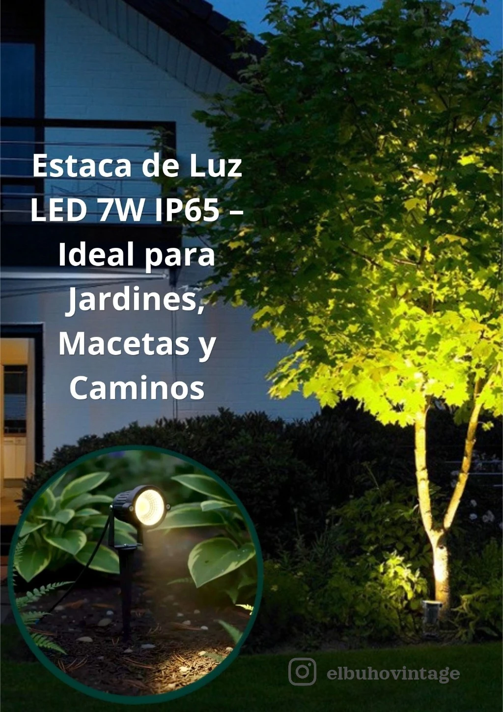 Estaca de Jardín 🏡 3