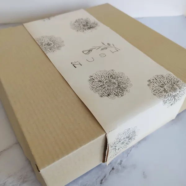 Box
