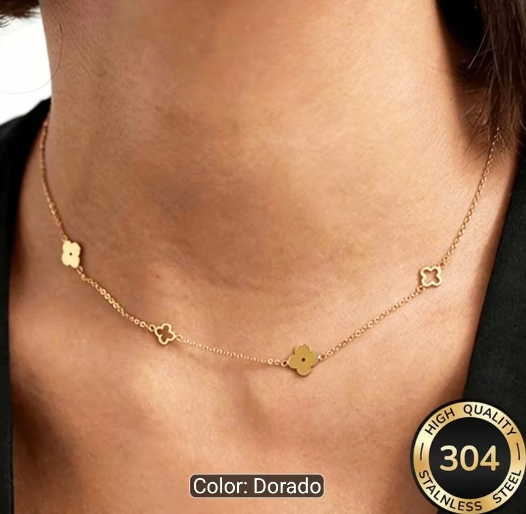 Collares de acero inoxidable  2