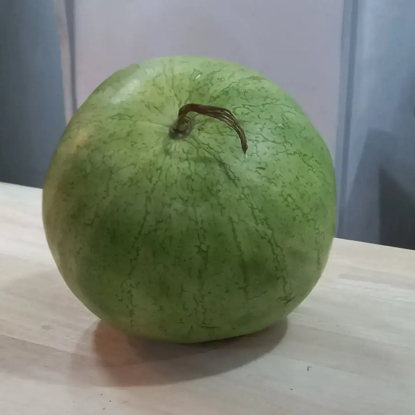 Sandia 