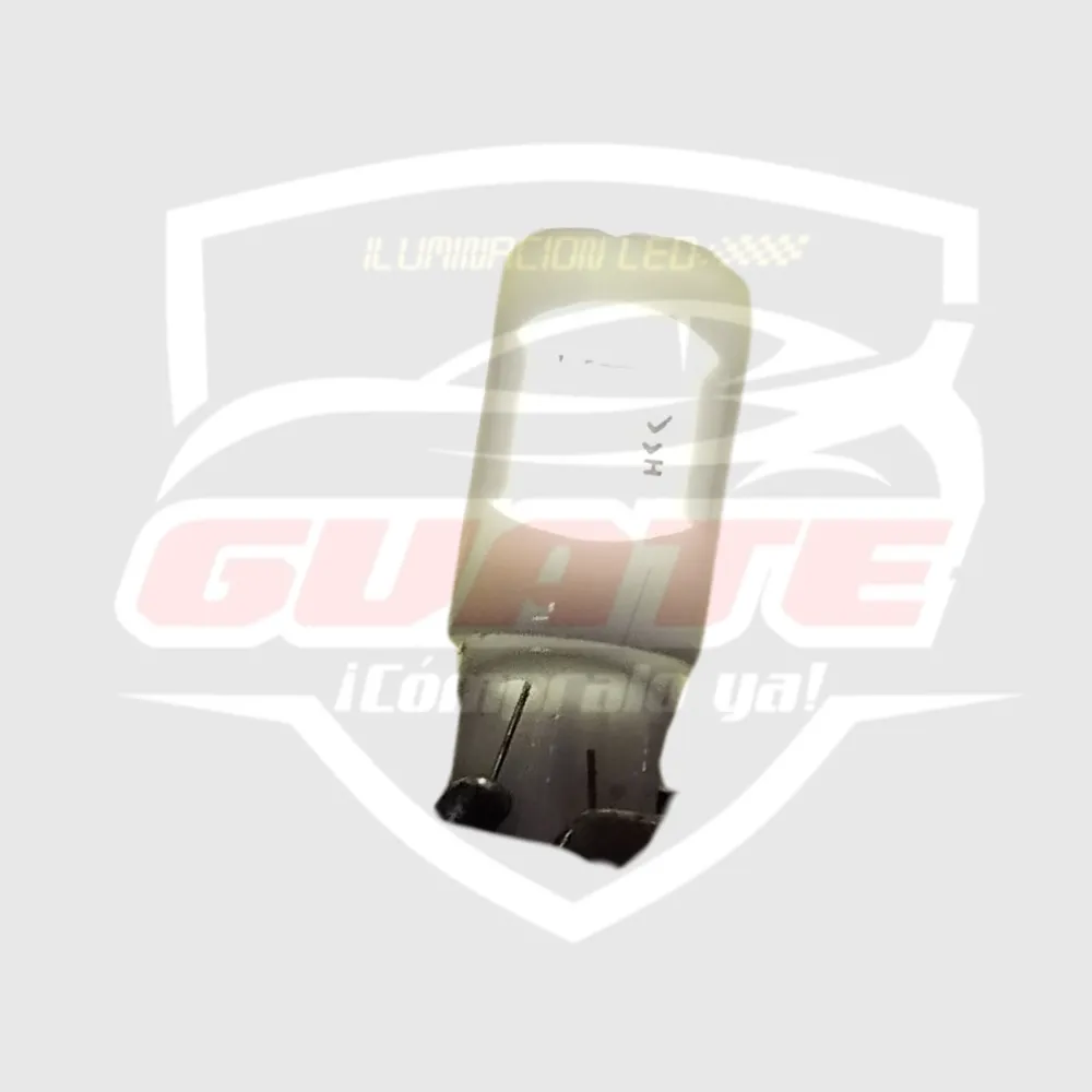 T10 BLANCAS LUPA  4