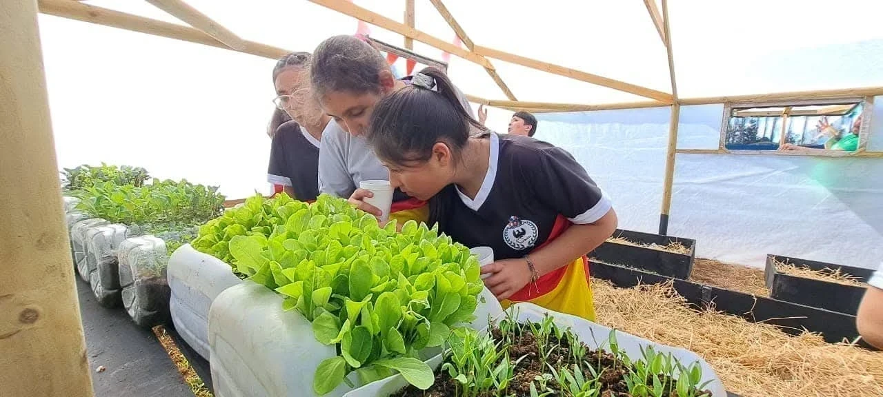 Talleres Medioambientales para Niños (Cotice su Taller) 2