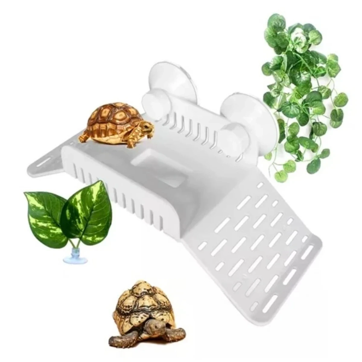 Plataforma de tortuga doble