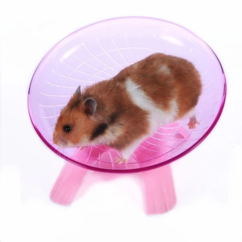 Juego Plato Disco Giratorio 17cm de Hamster Rds-36