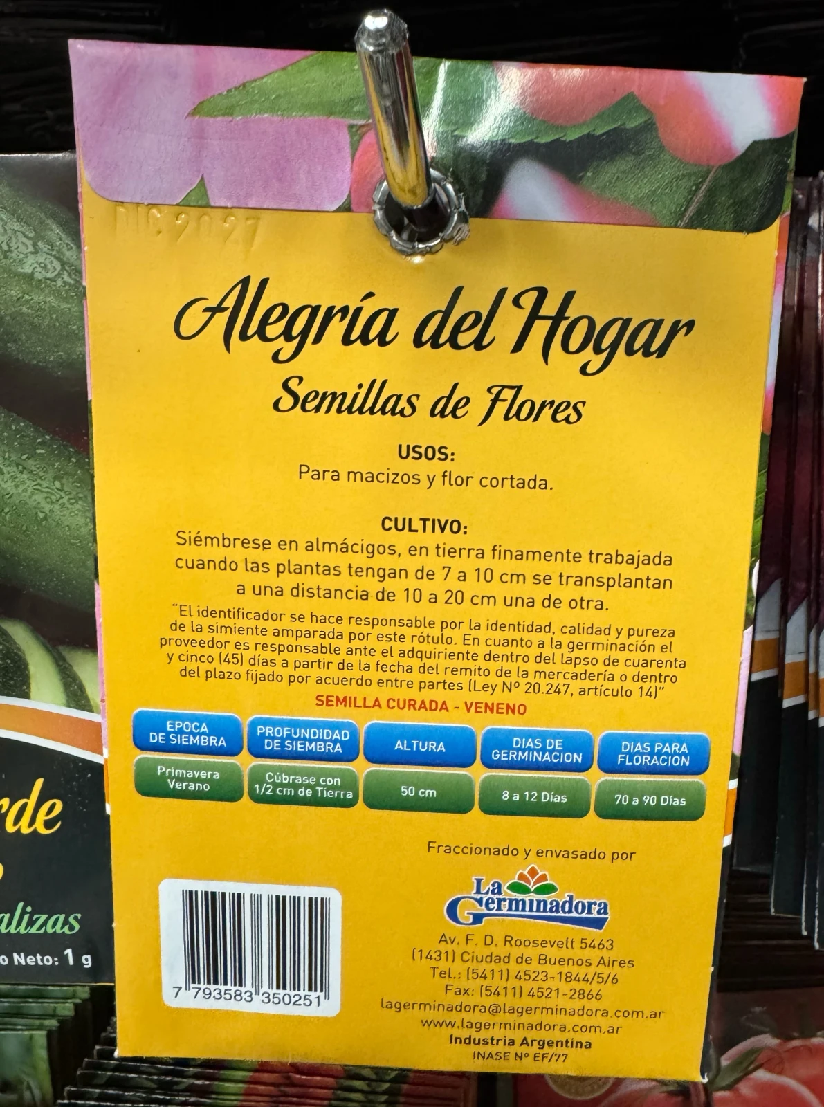 Alegria del hogar  2