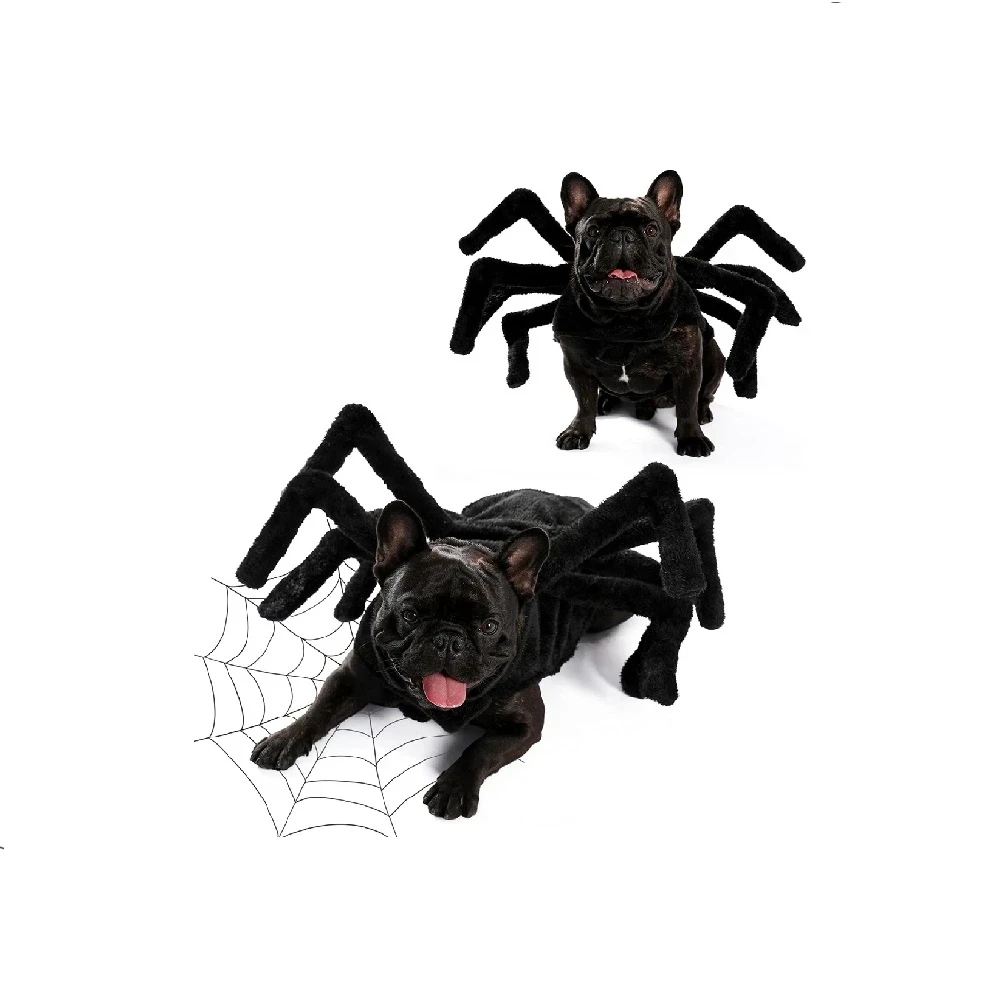 Disfraz araña