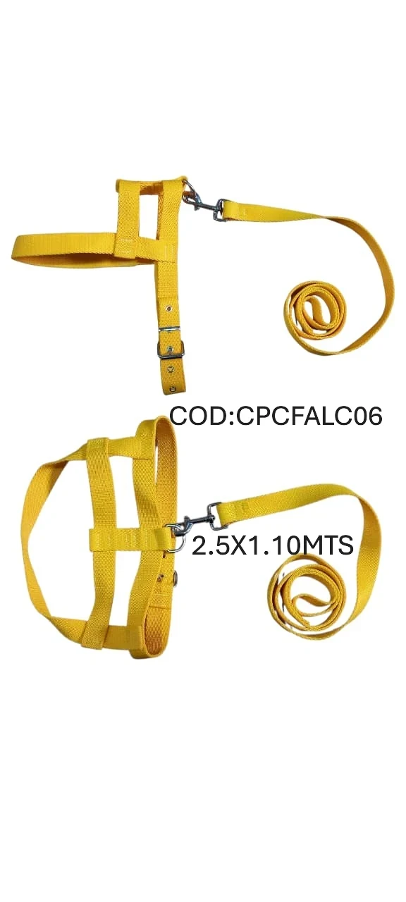 CONJUNTO T6 PRETAL FIJO+CORREA  