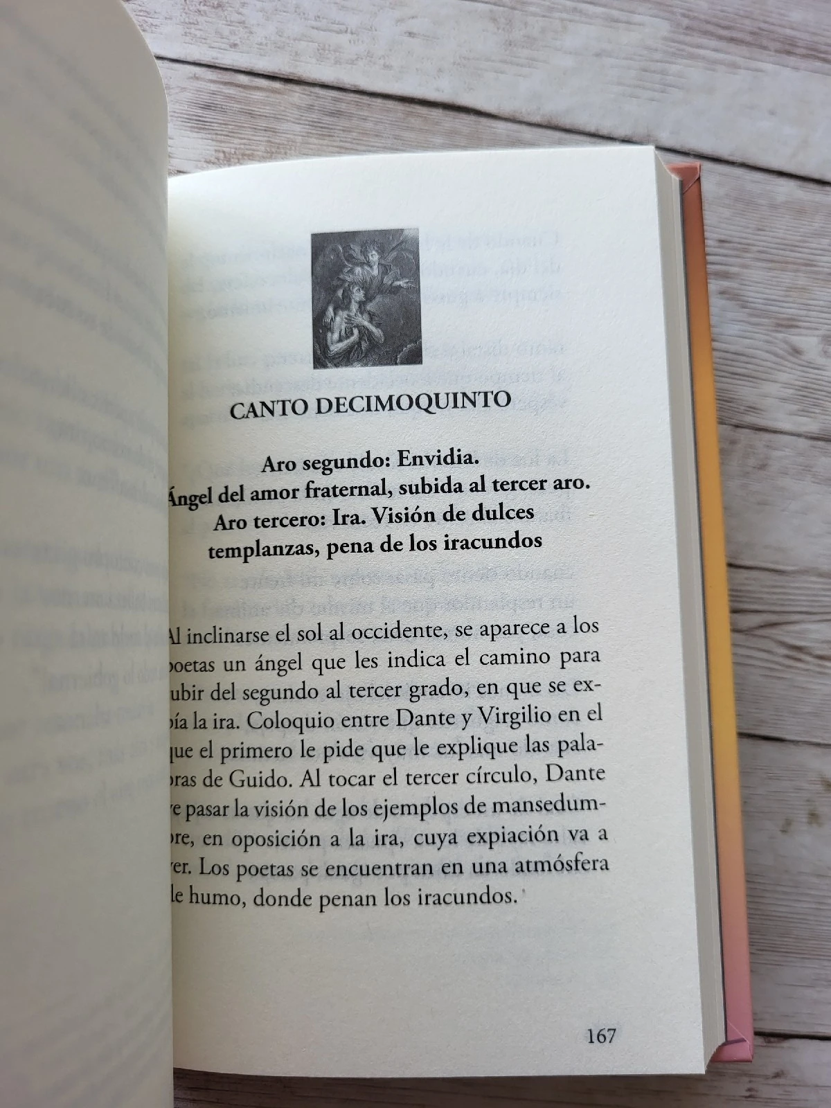 Divina Comedia Purgatorio / Dante Aliguieri / Clasicos 4