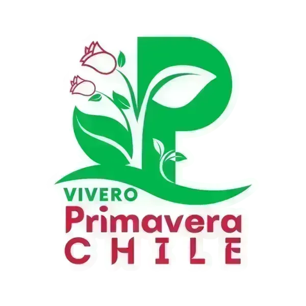 Vivero Primavera Chile