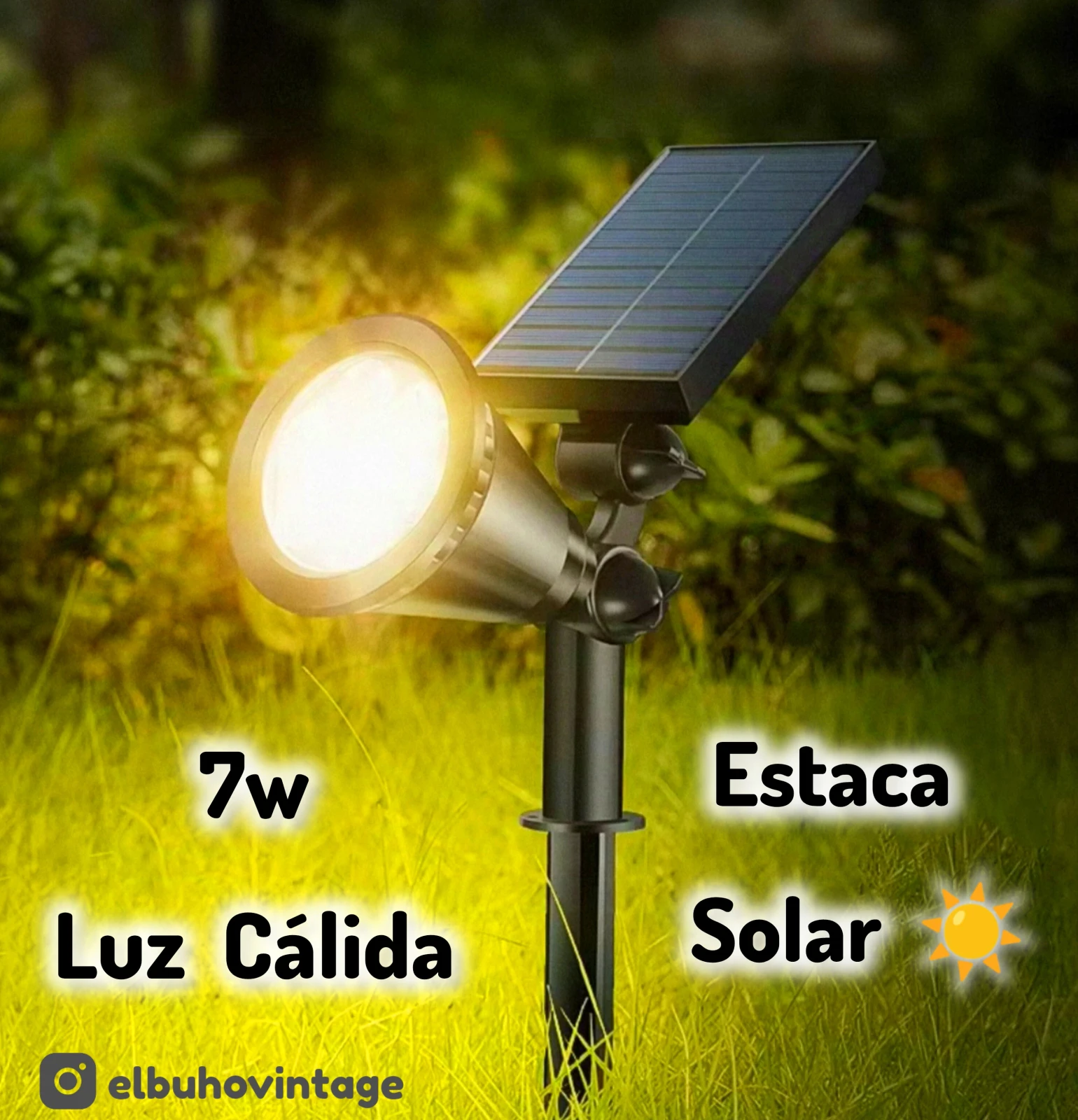 Estaca Solar para Jardín ☀️