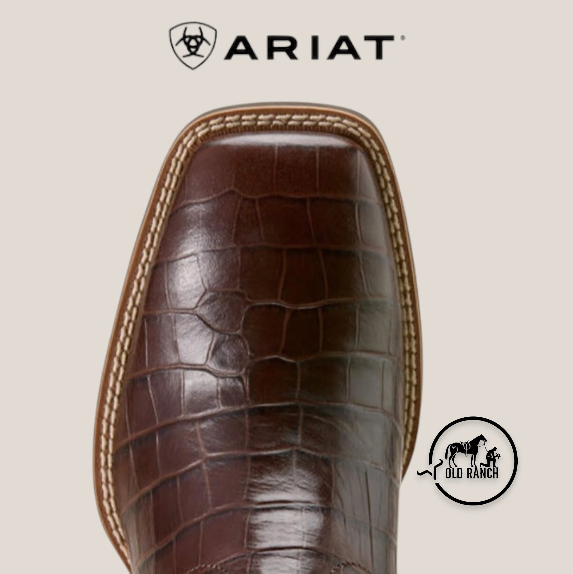 ARIAT 2