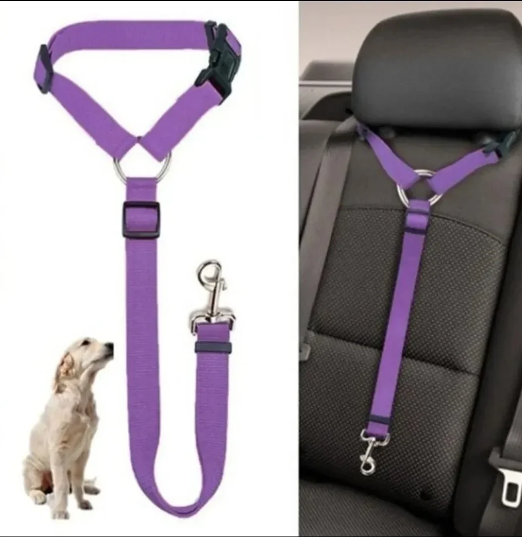 Cinturon de seguridad coche mascotas 2