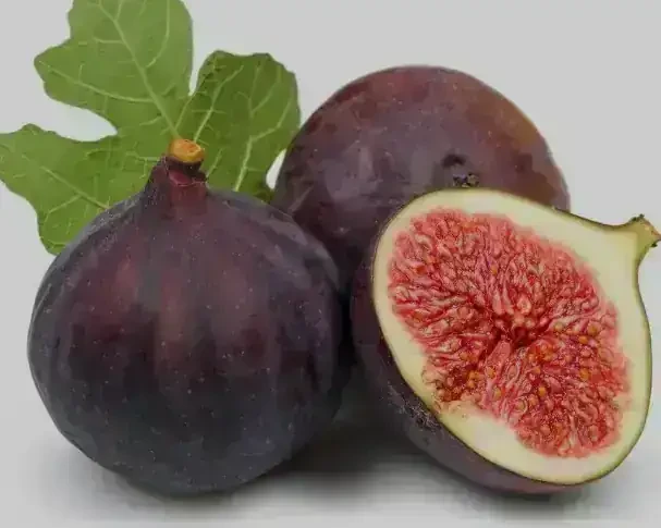 Higuera Roja