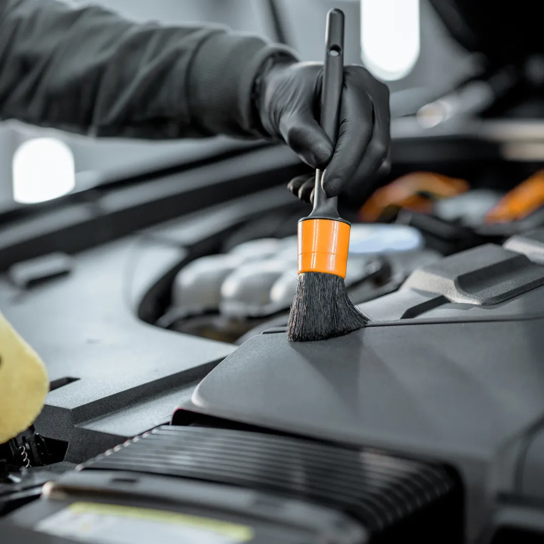 Servicio Plus + Desinfección 7