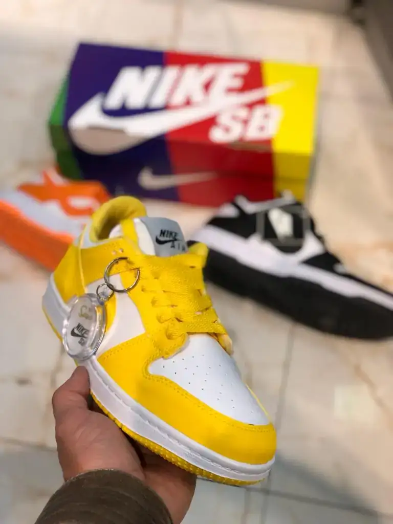 Nike sb dunk