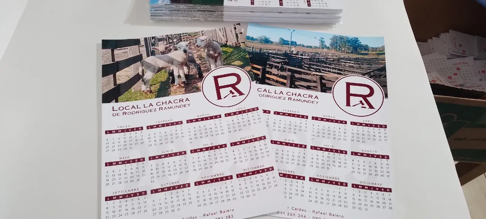 Calendario de pared pack por 50 unidades  4