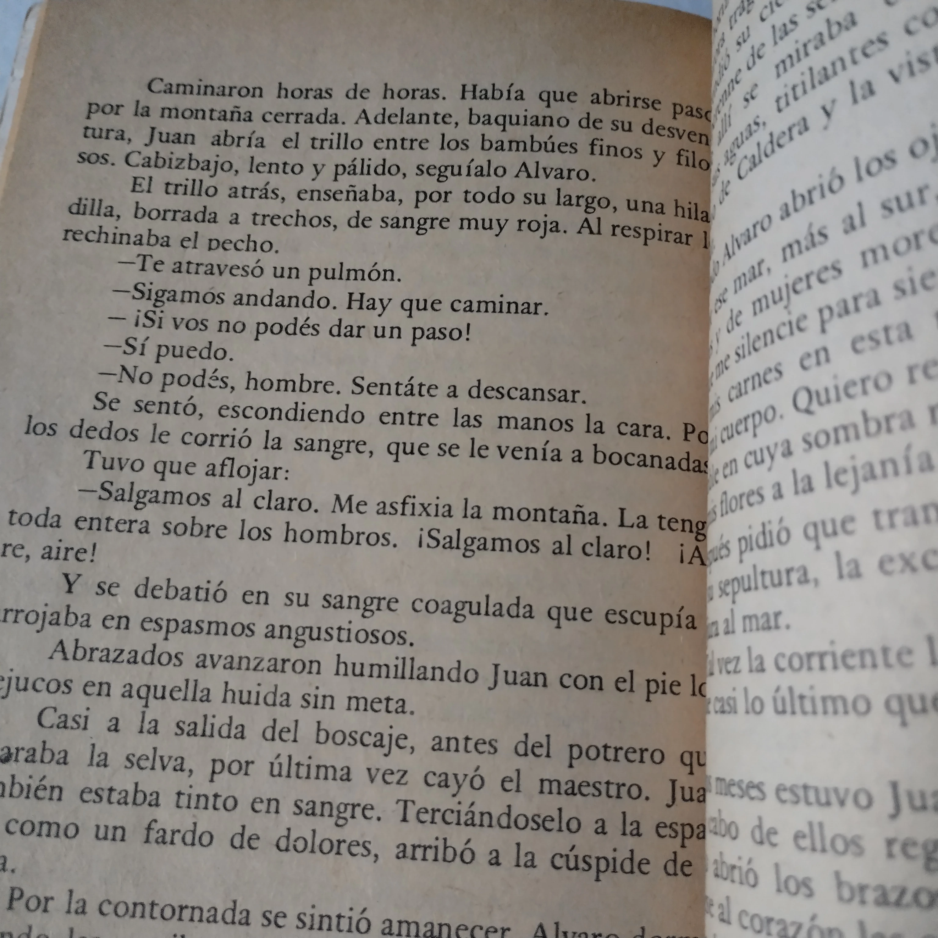 Juan Varela, Adolfo Herrera García, usado 3