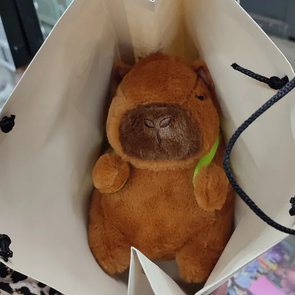 Capibaras 🥰